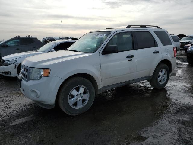 Ford Escape xlt (2011)