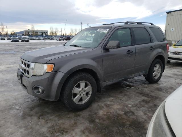 Ford Escape xlt (2011)