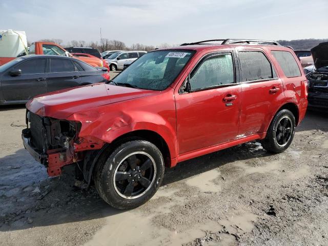 Ford Escape xlt (2010)