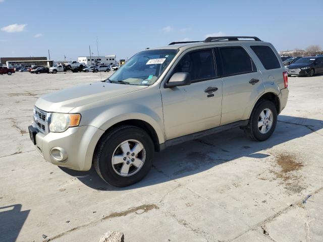 Ford Escape (2010)