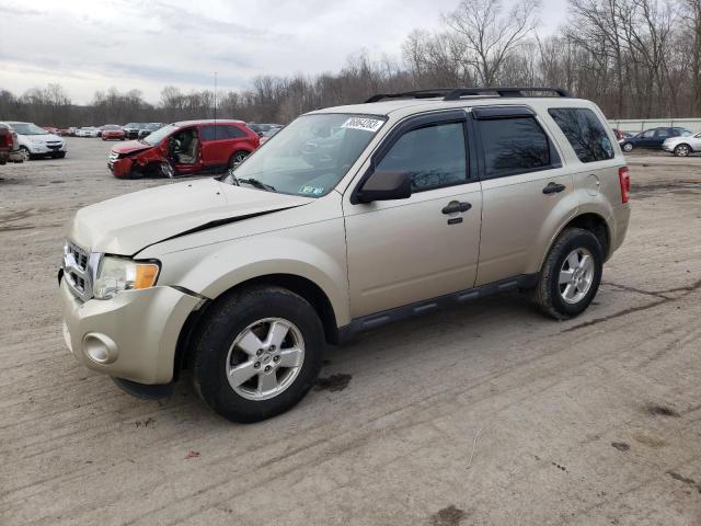Ford Escape xlt (2011)