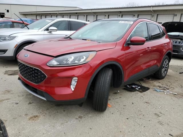 Ford Escape sel (2020)