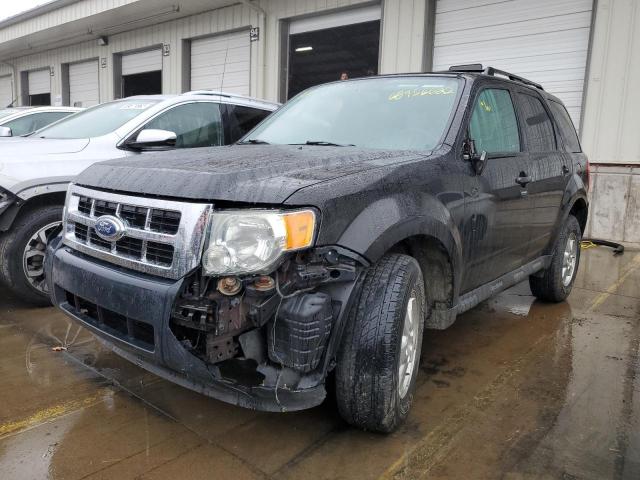 Ford Escape xlt (2011)