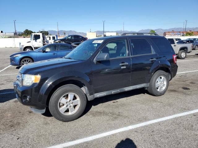 Ford Escape xlt (2011)