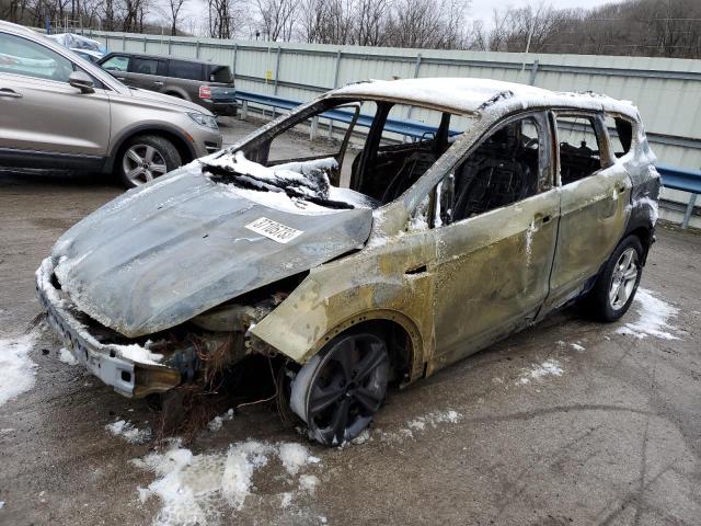 Ford Escape se (2014)