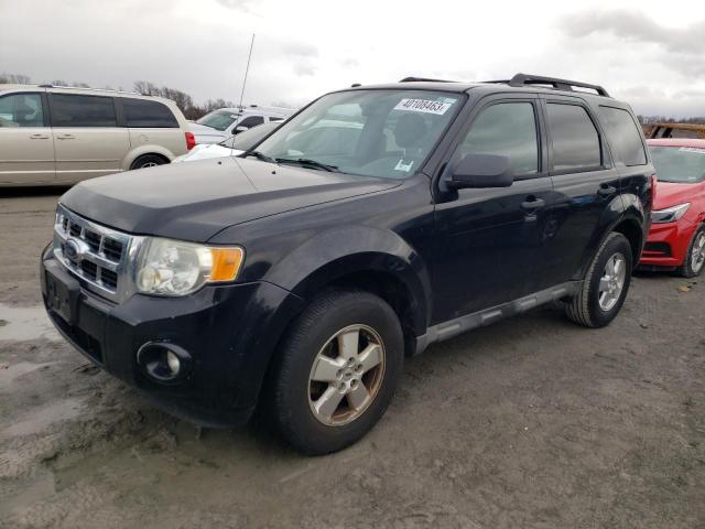 Ford Escape xlt (2010)