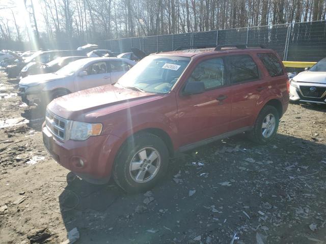 Ford Escape xlt (2011)