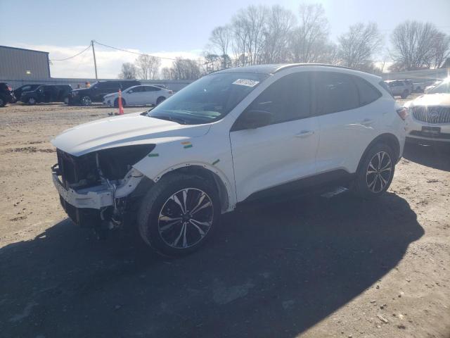 Ford Escape se (2021)