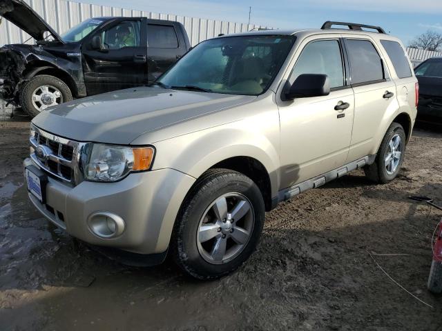 Ford Escape xlt (2011)