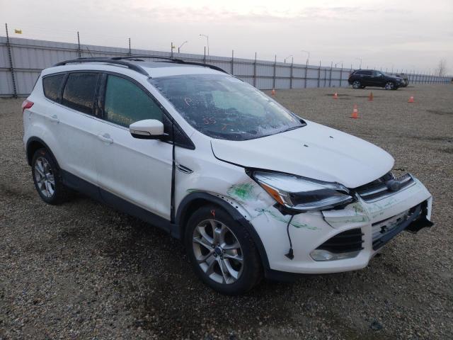 Ford Escape sel (2013)