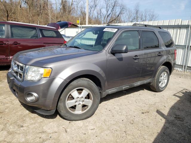 Ford Escape xlt (2011)