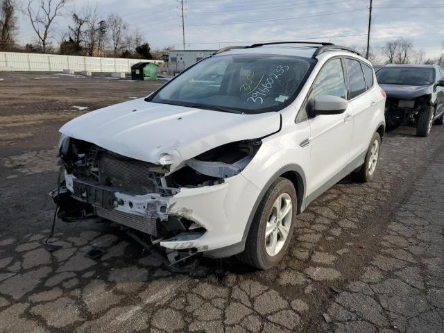 Ford Escape se (2014)
