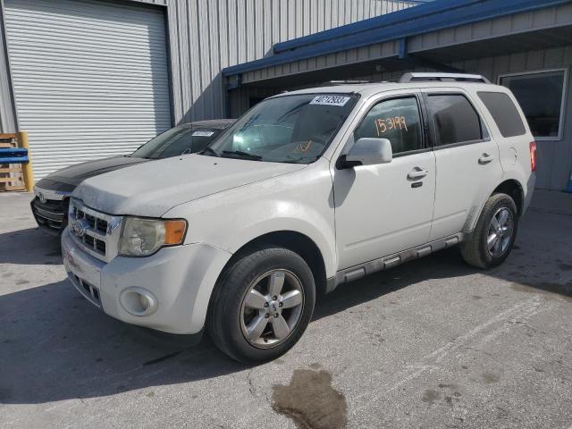 Ford Escape (2010)