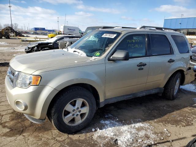 Ford Escape xlt (2010)