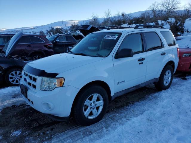 Ford Escape hyb (2011)