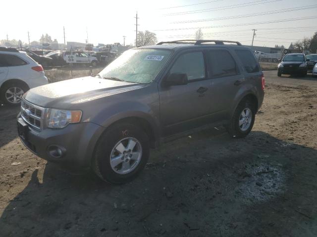 Ford Escape xlt (2010)
