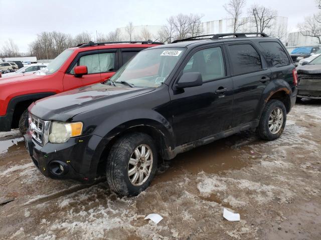 Ford Escape xlt (2011)