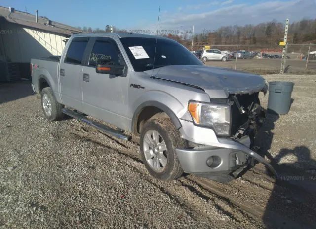 Ford F-150 (2010)