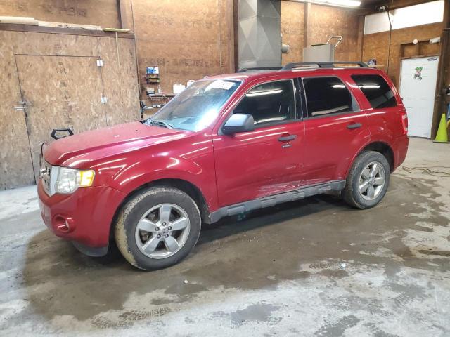 Ford Escape xlt (2010)