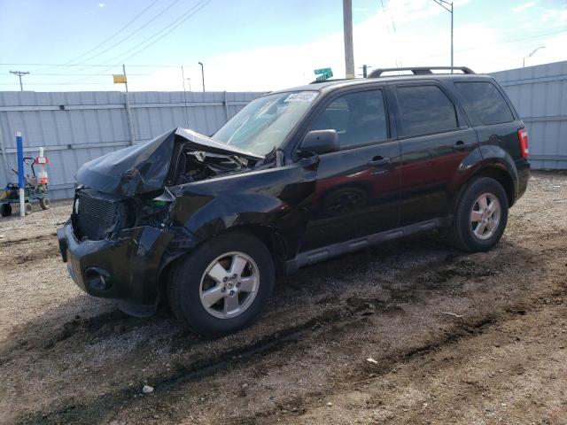 Ford Escape xlt (2011)