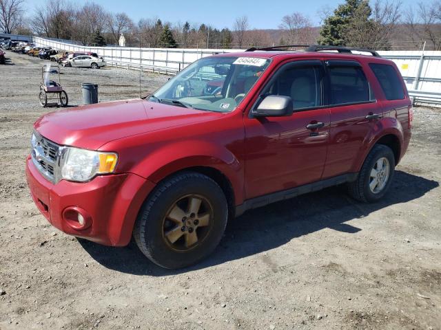 Ford Escape xlt (2011)