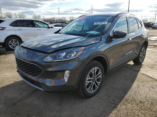 Ford Escape sel (2020)