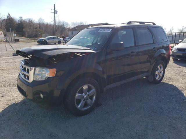 Ford Escape xlt (2010)