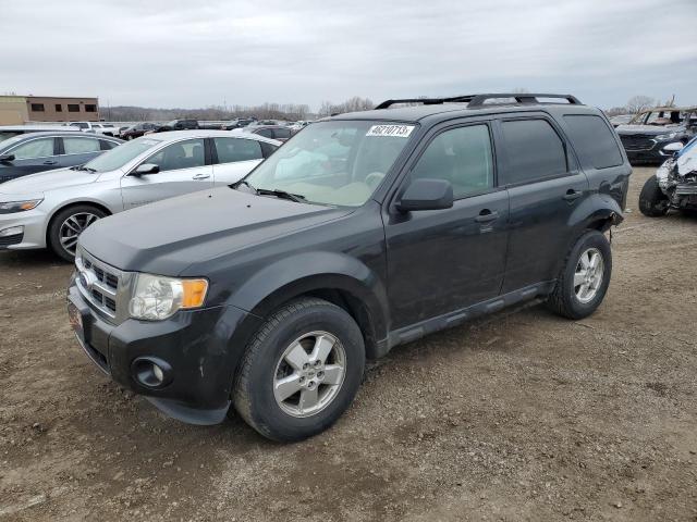 Ford Escape xlt (2011)