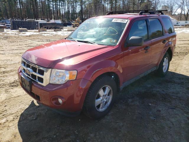 Ford Escape xlt (2011)