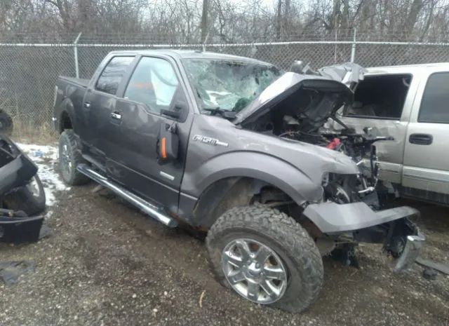 Ford F-150 (2013)