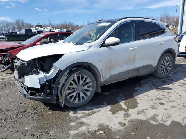 Ford Escape tit (2020)
