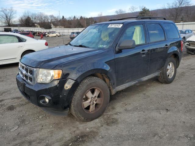 Ford Escape xlt (2010)