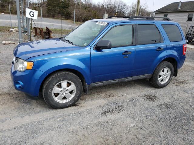 Ford Escape xlt (2011)