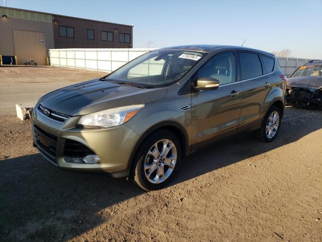 Ford Escape sel (2013)