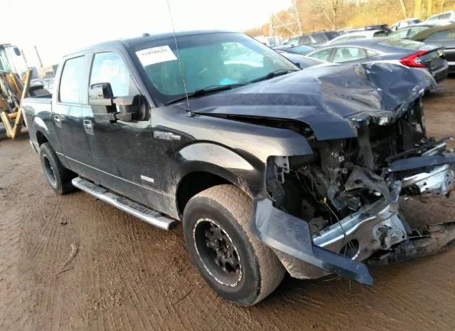 Ford F-150 (2013)