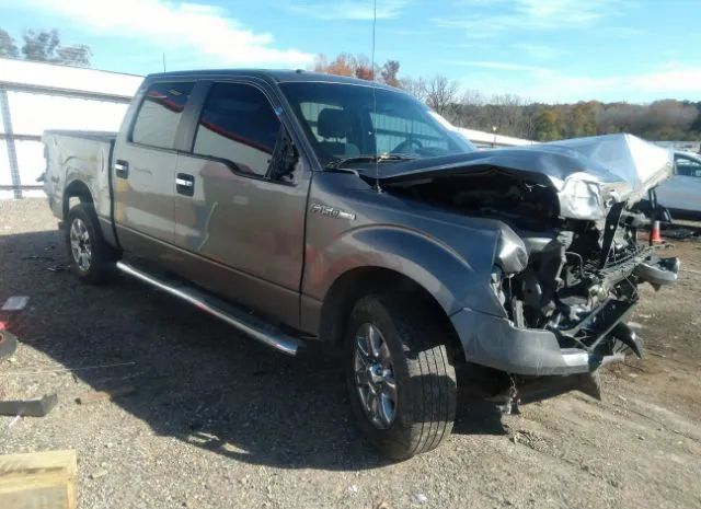 Ford F-150 (2013)