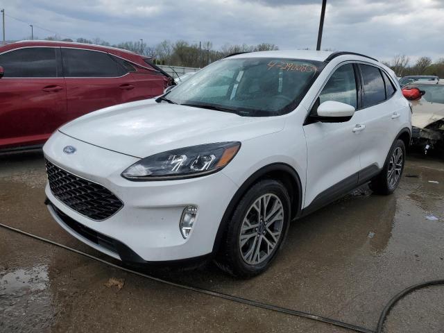 Ford Escape sel (2020)