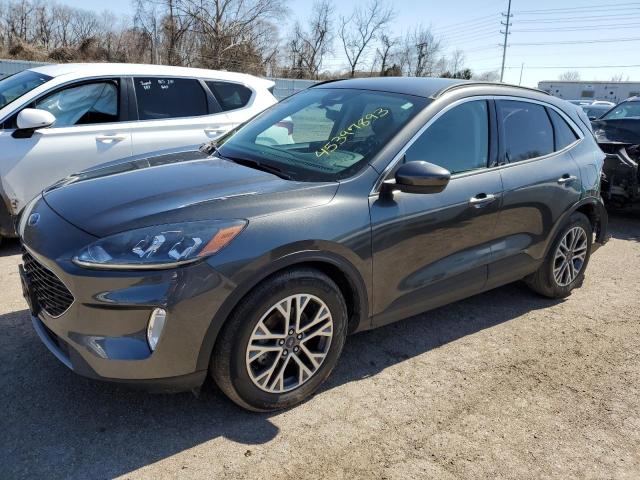 Ford Escape sel (2020)