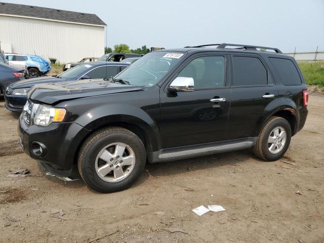Ford Escape xlt (2011)