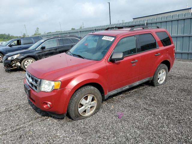 Ford Escape xlt (2010)
