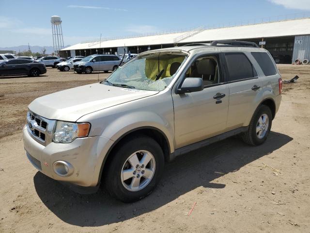 Ford Escape xlt (2010)
