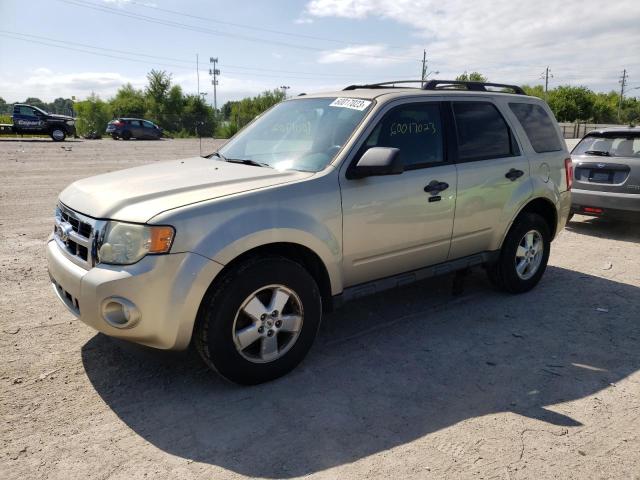 Ford Escape xlt (2010)