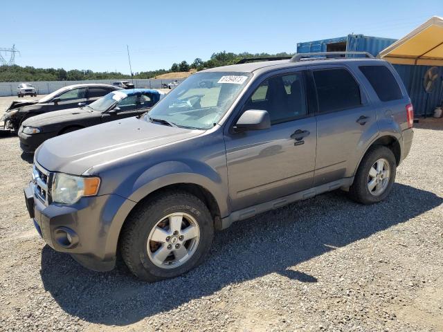 Ford Escape xlt (2010)