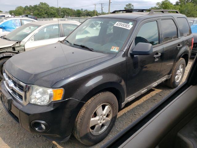 Ford Escape xlt (2010)