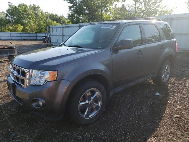Ford Escape xlt (2010)