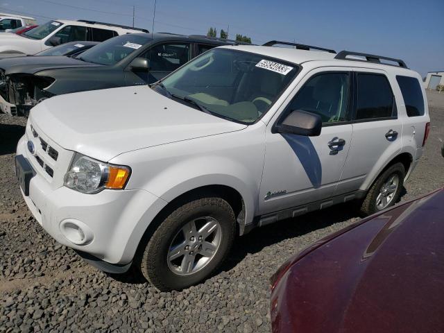 Ford Escape hyb (2011)