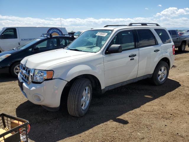 Ford Escape xlt (2011)