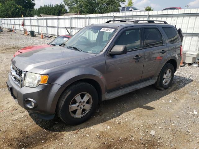 Ford Escape xlt (2011)