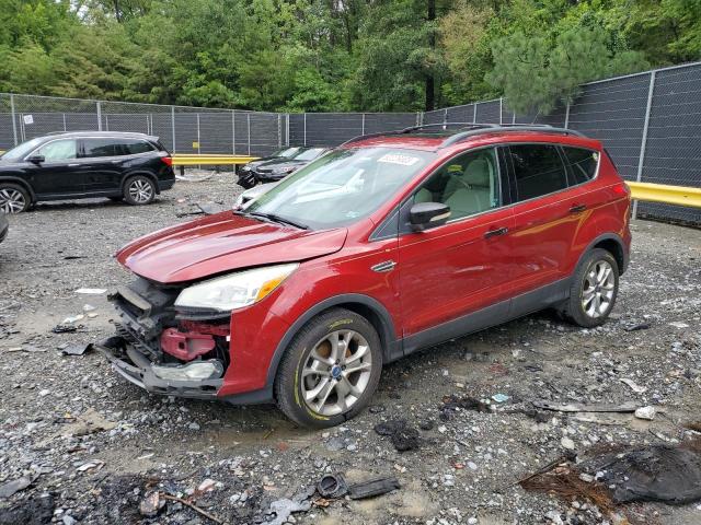 Ford Escape sel (2013)