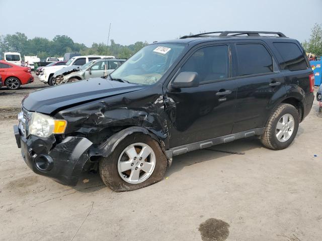 Ford Escape xlt (2011)